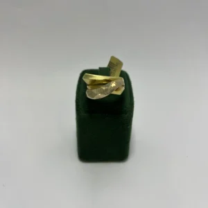 انگشتر ریخته السا