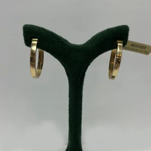 گوشواره پروفیلی